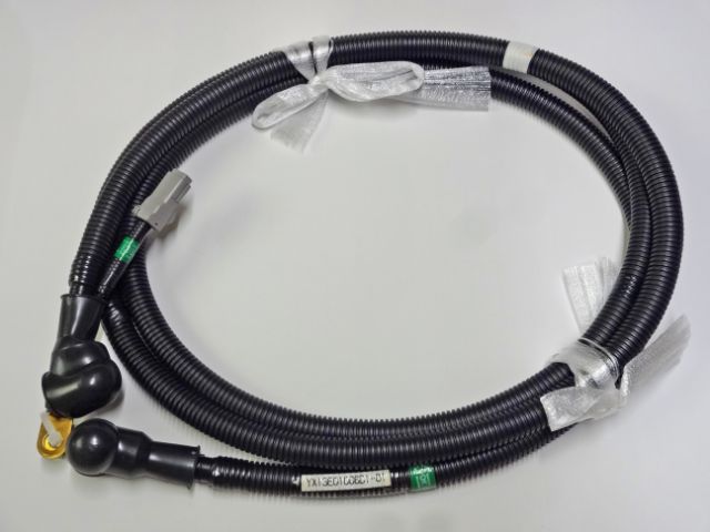 Cable YX13E01006D1