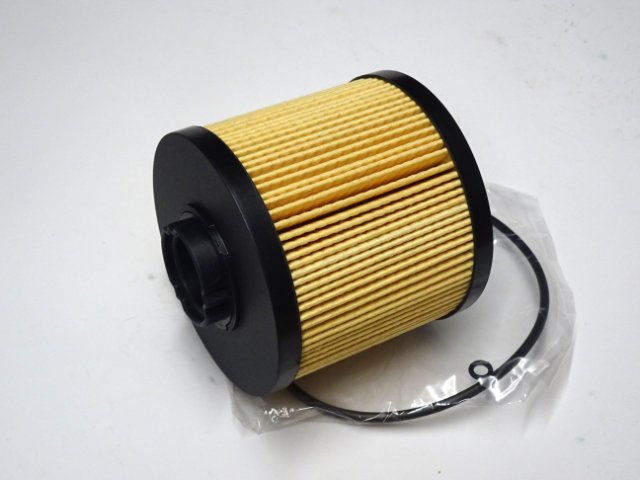 Fuel Filter LG21P01003R100